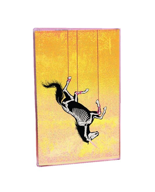 Disenchanted Cassette