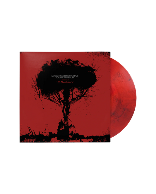 Saying Something You Have Already Said Before LP